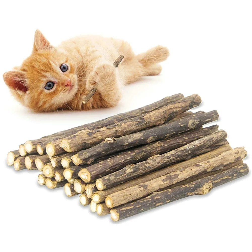 15 Palitos de Matatabi Natural para Gatos, Juguete y Limpieza Dental