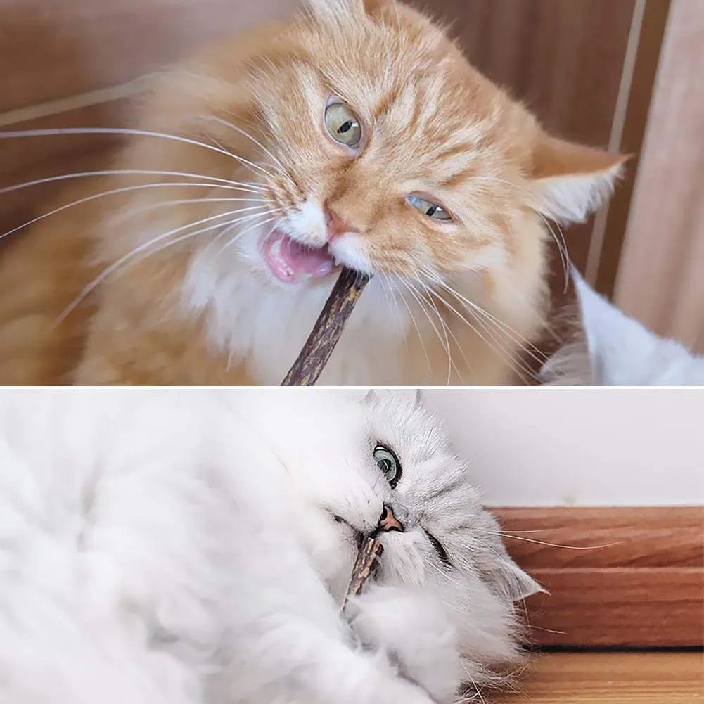 15 Palitos de Matatabi Natural para Gatos, Juguete y Limpieza Dental