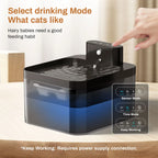 Pet Water Fountain