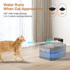Pet Water Fountain