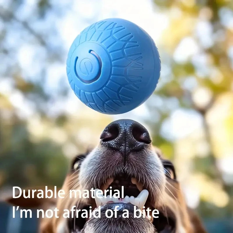 Smart Toy Ball For Dogs
