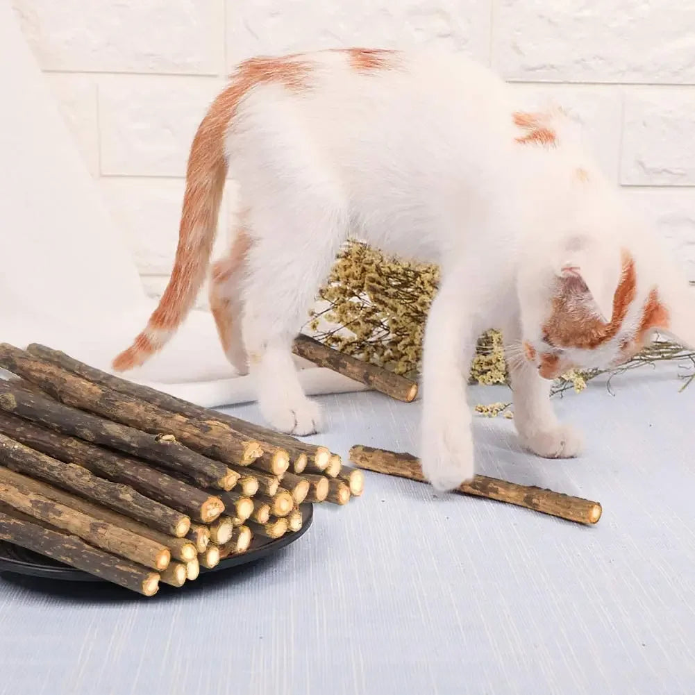 15 Palitos de Matatabi Natural para Gatos, Juguete y Limpieza Dental