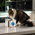 Bebedero Automático Para Mascotas De Acero Inoxidable