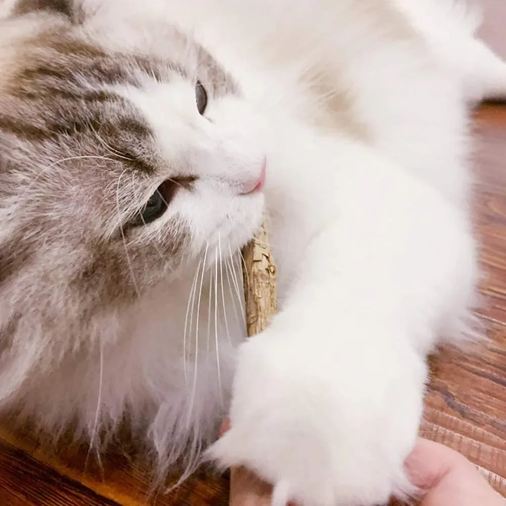 15 Palitos de Matatabi Natural para Gatos, Juguete y Limpieza Dental