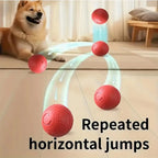 Smart Toy Ball For Dogs