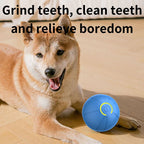 Smart Toy Ball For Dogs