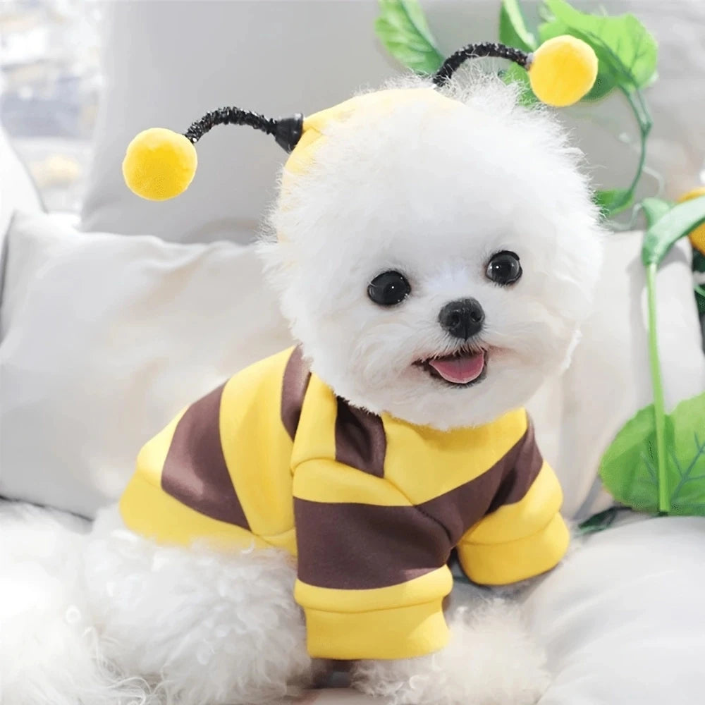 Disfraz De Abeja Para Gato