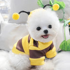 Disfraz De Abeja Para Gato