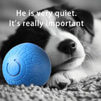Smart Toy Ball For Dogs