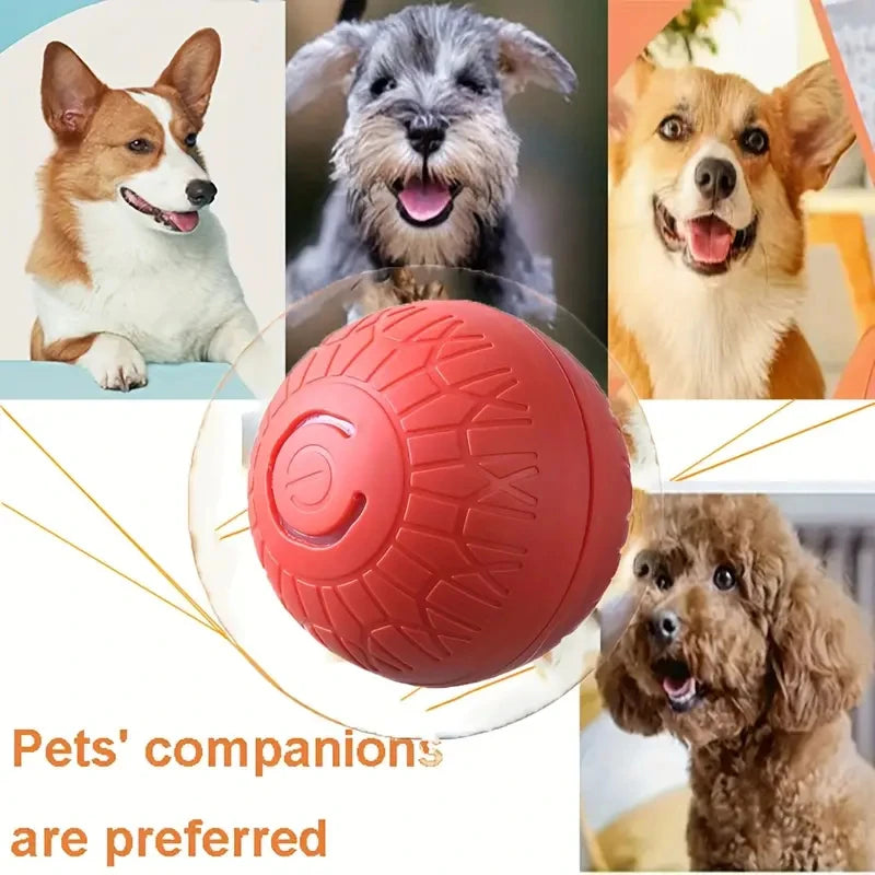 Smart Toy Ball For Dogs