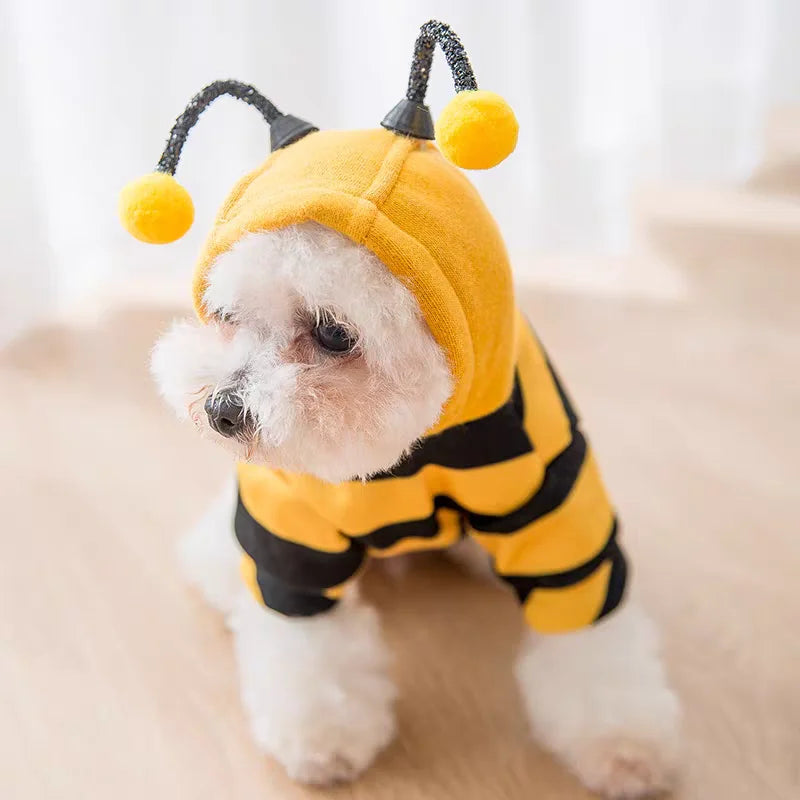 Disfraz De Abeja Para Gato