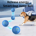 Smart Toy Ball For Dogs