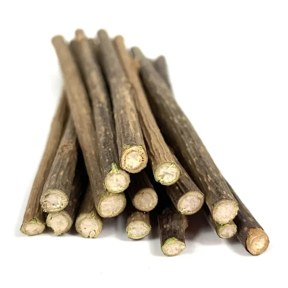 15 Palitos de Matatabi Natural para Gatos, Juguete y Limpieza Dental