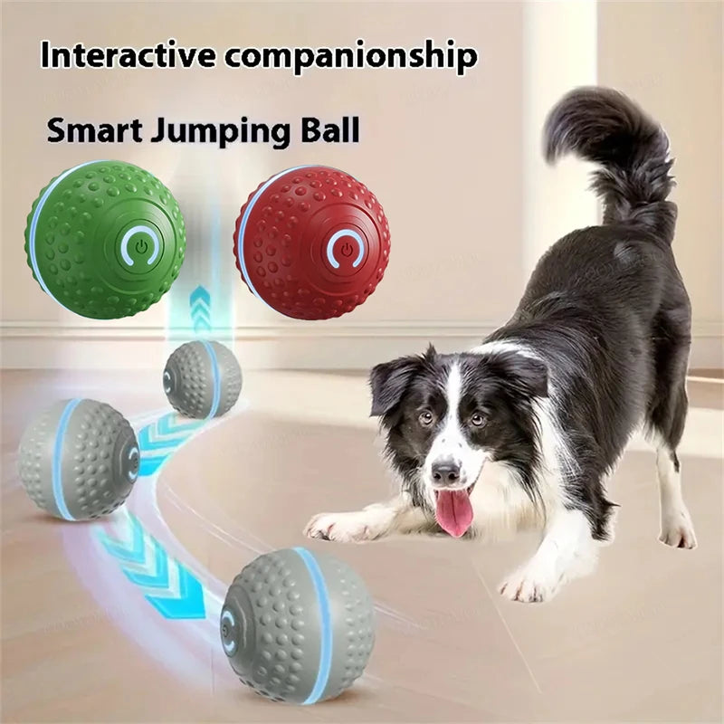 Smart Toy Ball For Dogs