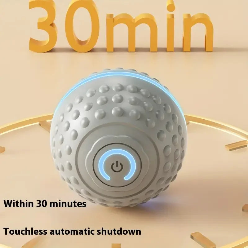 Smart Toy Ball For Dogs