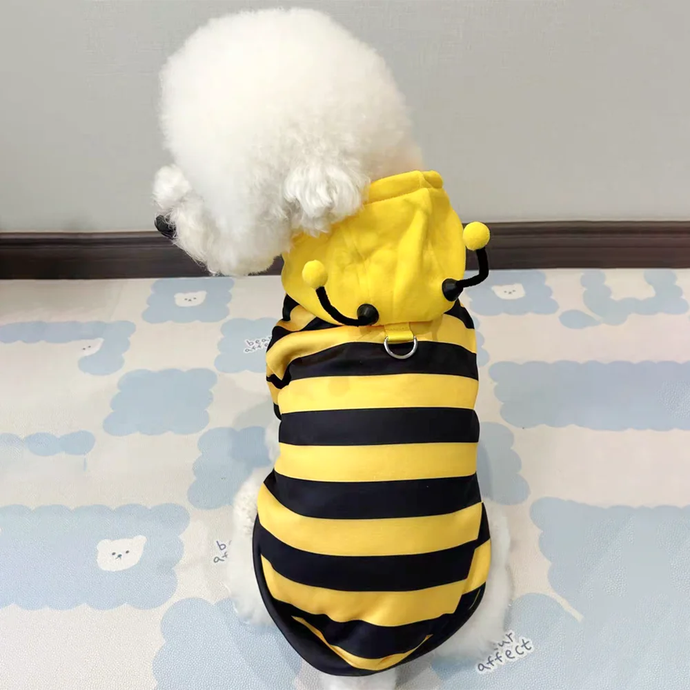 Disfraz De Abeja Para Gato