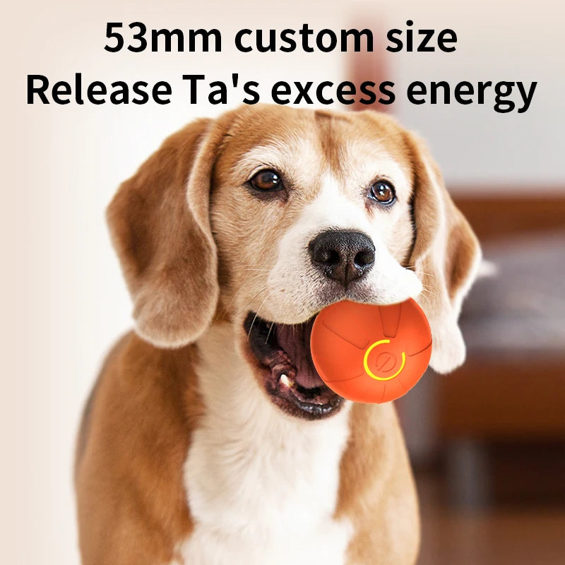 Smart Toy Ball For Dogs