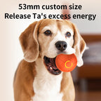 Smart Toy Ball For Dogs