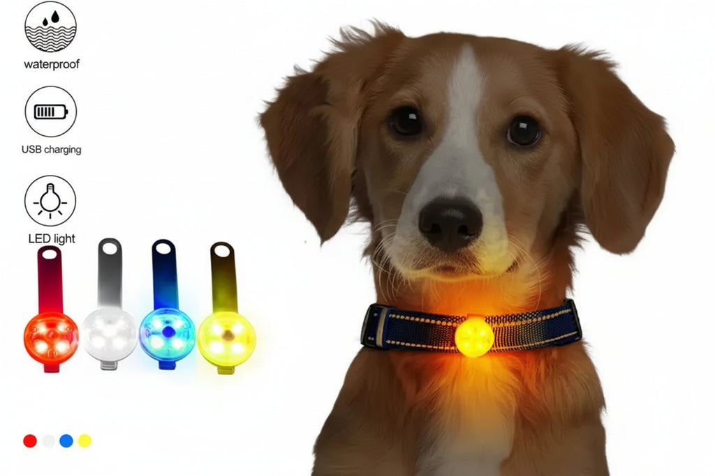 Collar con luz led.